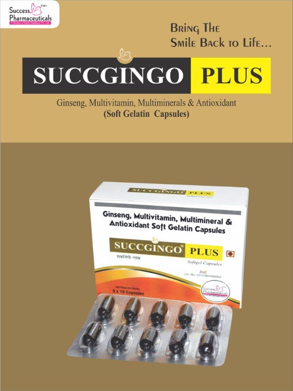 Succgingo Plus
